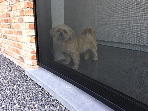 Détail de toile Petscreen